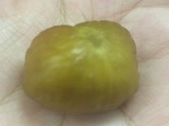 -阿男野栗王(金门路店)