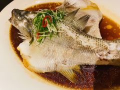 -索菲特酒店·乐轩华中餐厅