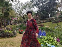 -人民公园(罗湖区)