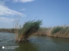 -野鸭湖国家湿地公园