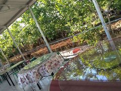 -水库活鱼馆(于桥水库店)