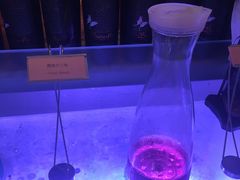 -天际丽豪大酒店-豪庭时尚餐厅(仁和路店)