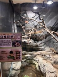 -Zoolung Zoolung动物主题公园(海信广场店)