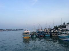 -尼甘布海鲜市场