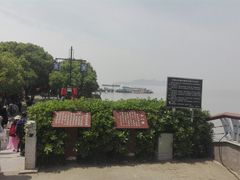 -建华生态湿地百荷园