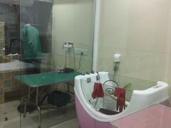 -佳雯宠物医院(四明中路分院)