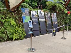 -怀托摩萤火虫洞