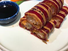 -点都德·毕德寮