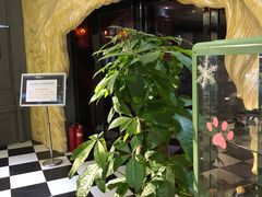-H次元沉浸剧情密室(街道口店)