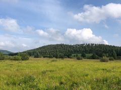 -塞罕坝国家级自然保护区