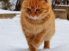 -终南山南五台景区