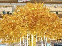 -友谊阳光城(金贸街道店)