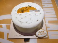 芒果藏心-半勺舒舒生日蛋糕店