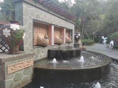 -美的鹭湖森林度假区