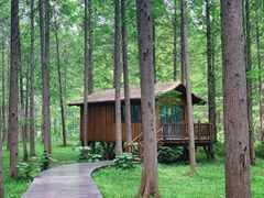 -黄海国家森林公园