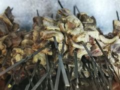 -高原第一家资格烤羊肉(玉林南路总店)