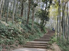 -西湖风景区十里琅珰-五云山