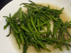-金砂阿洲鱼册店