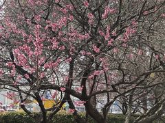 -苏宁易购(上海沪太路二店)