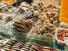 -岳各庄批发市场(西四环中路店)