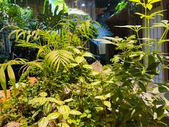 -森味薪火烧•烧鸟居酒屋•日本料理(望京店)