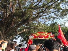 -大湾区中央湿地公园