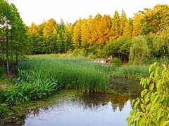 -长广溪湿地公园