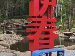 -汤旺河林海奇石景区