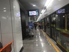 -杨高南路(地铁站)