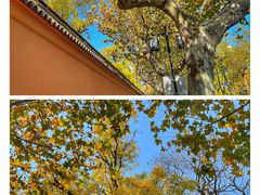 -苏州碑刻博物馆