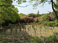 -南北湖风景区