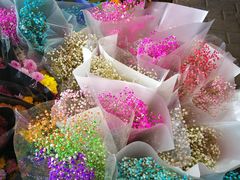 -秦美花卉(天朗·莱茵小城2期店)