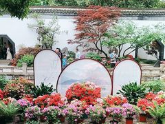 -上海醉白池公园