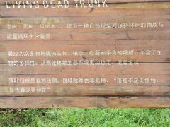 -北京麋鹿生态实验中心