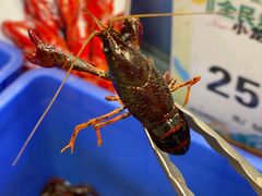 -百佳永辉超市(来福士广场店)