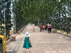 -北戴河集发农业梦想王国