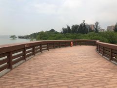 -宝安西湾红树林湿地公园