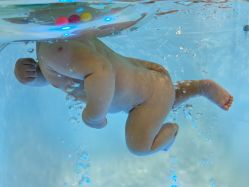 -趣游baby swim婴童游泳·盐氧护(旭辉u天地店)