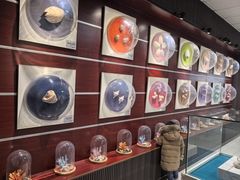 -青岛贝壳博物馆