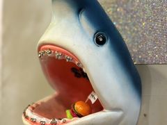 -shark burger·鲨鱼汉堡(交子大道店)