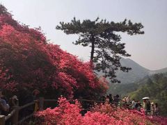 -木兰云雾山