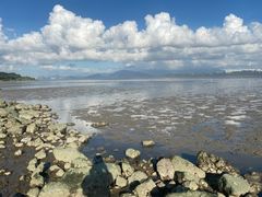 -深圳湾公园(南山区)