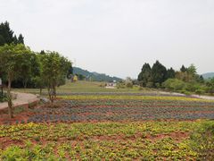 -中国香山·寿香谷