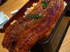 -Hatsune隐泉日式料理(三里屯太古里店)