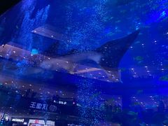 -成都浩海立方海洋公园