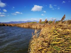 -野鸭湖国家湿地公园