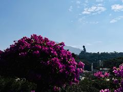 -天坛大佛