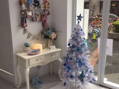 -BABYDOG宝贝狗宠物乐园(欧洲城店)
