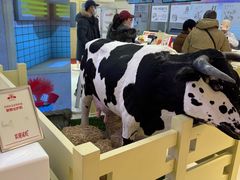 -红星前进面包牛奶公司(君太店)