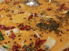 -至潮餐厅精致粤菜·活鲈鱼·走地鸡(珠江新城店)